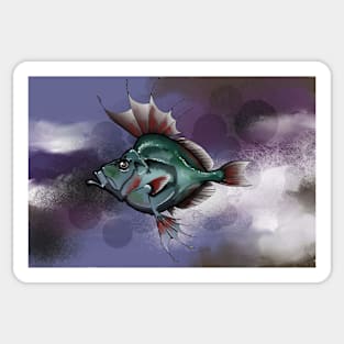 Mirror Dory Illustration Sticker